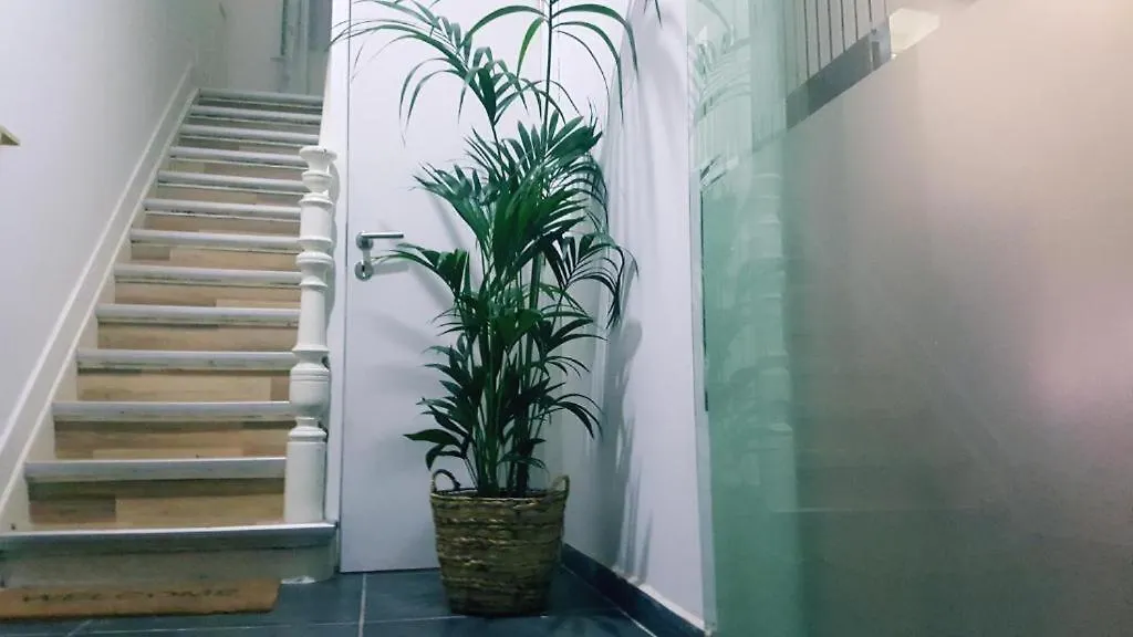 Cozy Rooms With Share The Bathroom And Kitchen Brüsszel